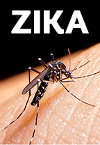 Zika