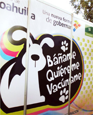 SNVACF2013