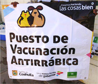 SNVACF2013