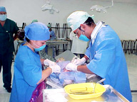 esterilizacion