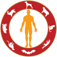 zoonosis